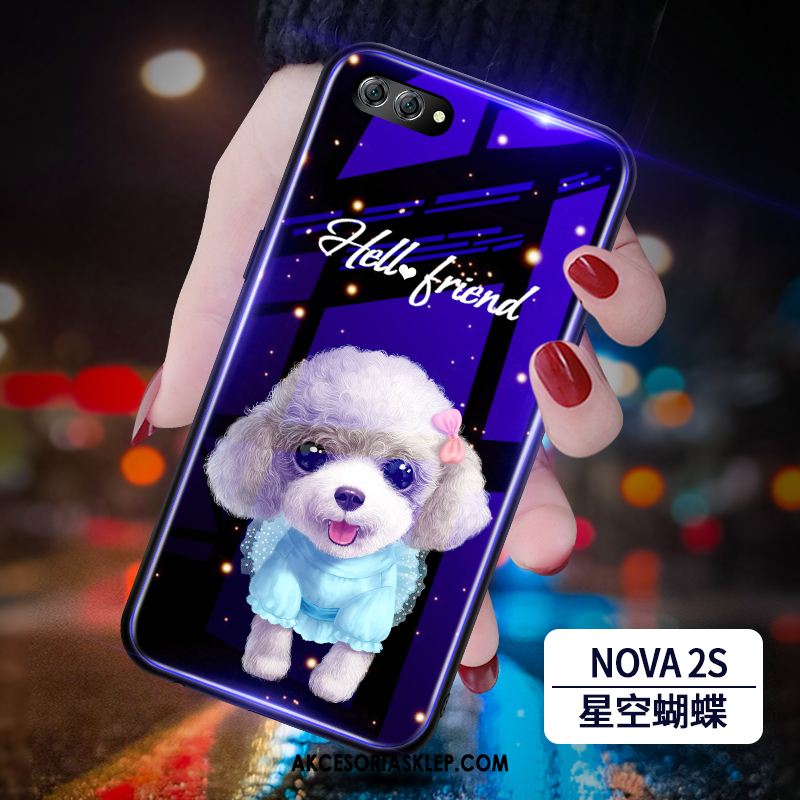 Futerał Huawei Nova 2s Trudno Niebieski Telefon Komórkowy Modna Marka All Inclusive Obudowa Tanie