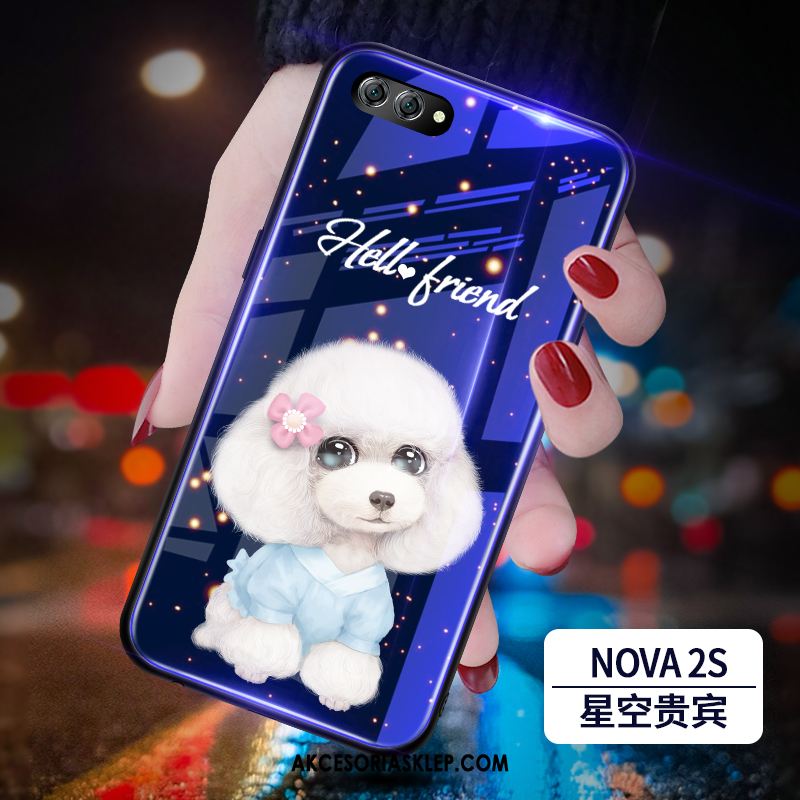 Futerał Huawei Nova 2s Trudno Niebieski Telefon Komórkowy Modna Marka All Inclusive Obudowa Tanie