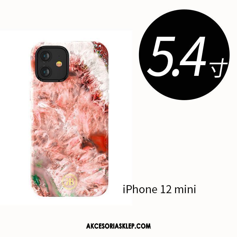 Futerał iPhone 12 Mini Telefon Komórkowy Wzór Anti-fall All Inclusive Luksusowy Etui Online