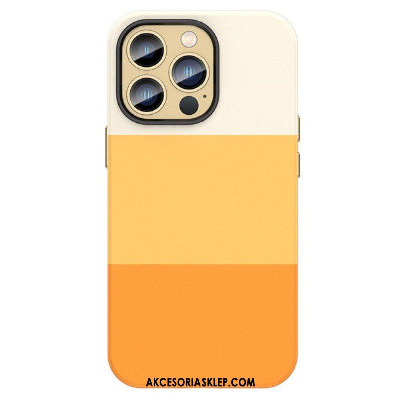 Futerały do iPhone 14 Pro Kolorowe Paski