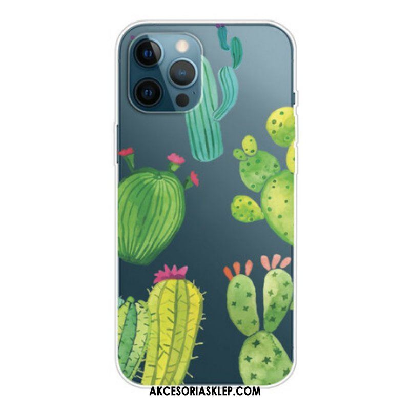 Etui do iPhone 13 Pro Akwarela Kaktusy