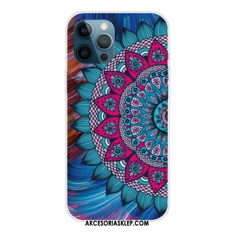 Etui do iPhone 13 Pro Max Kolorowa Mandala