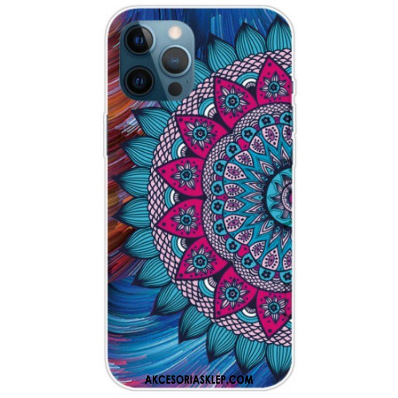 Etui do iPhone 14 Pro Kolorowa Mandala